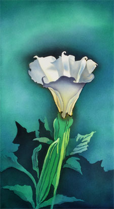 Sacred Datura print